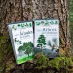 Arboles_16