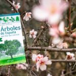 Arboles_ametller-1295x863