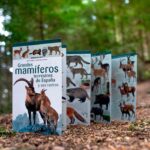Mamiferos_y-sus-rastros-16x9-1-1295x728