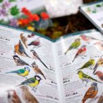 Miniguia-Aves-detalle--1295x863